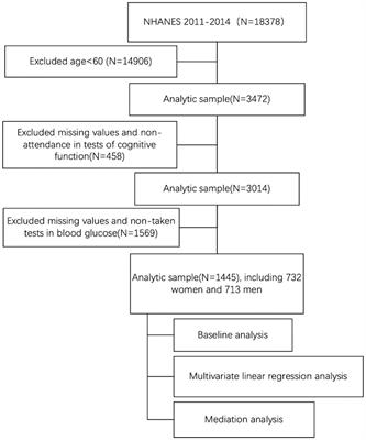 Revisiting the mechanisms linking blood glucose to cognitive impairment: new evidence for the potential important role of klotho